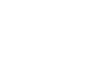 Gulfside Docks Logo white